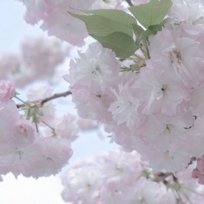 兽设天空场景绘制兽圈社群